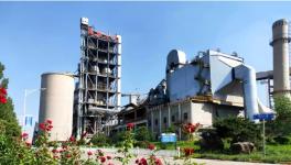 海螺水泥的前生今世：赚钱比房地产还快