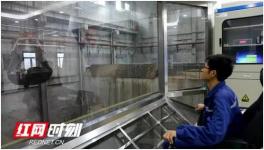 水泥窑大变身成“净化器” 城市垃圾“零排放”