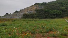 这家水泥企业喜获2800万吨石灰岩矿采矿权！