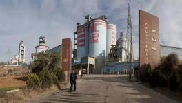 大理市抓实矿山整治还“绿”于山