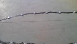 发明！自我修复混凝土，房子200年不裂！