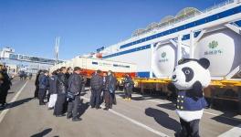 强强联合共建海上建材运输高速通道