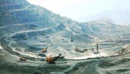 这一地区将对拒不履行矿山生态修复义务企业立案调查！