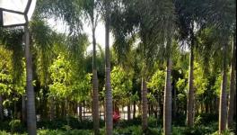 最干净的百人智能工厂无人值守物流系统曝光!