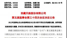 西藏天路股份有限公司高管人员任职大变动！