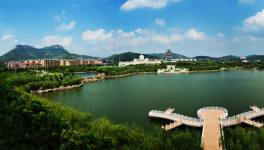 山东省枣庄市51条水泥立窑生产线全部关停！