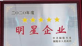 枞阳海螺获得铜陵市多项荣誉称号