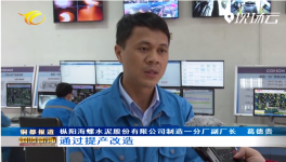 海螺水泥子公司提产技改，实现销售收入138.28亿元！