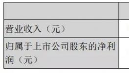 天山股份年报：2020年实现净利润15.16亿元！