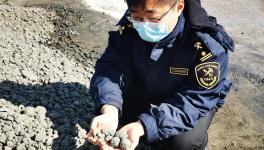 顺利通关！4万多吨韩国熟料进入中国！