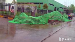 臭味重、蚊虫多！华新水泥被举报！