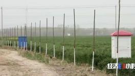 水泥墙里塞泡沫？投资千万“样子工程”！