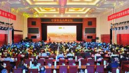 中建材在全球承接379条水泥生产线、市场占有率超过65%！