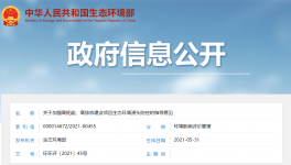 生态环境部出台意见严格审查“两高”项目！