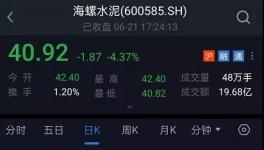 太惨了！海螺水泥1200亿没了！