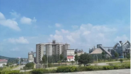 水泥行业的“华为”，一年净赚300亿！