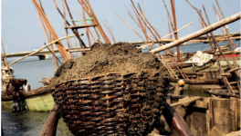 年耗500亿吨，沙子快不够人类使用了！