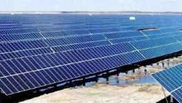 跨界投资！有关海螺、塔牌、红狮等水泥集团！