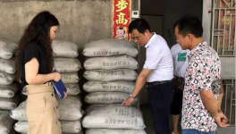 市场上这7个主要水泥品牌被质量抽检！