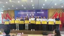 铜陵上峰:连续9年上榜“地方企业50强”！