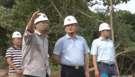 韶峰南方绿色建材产业园项目加紧推进中！