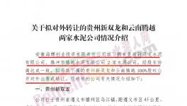 海螺创业拟对外转让这两家公司100%股权！