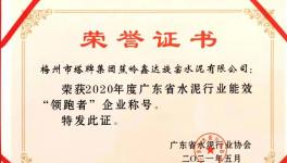 争做行业能效标杆 塔牌企业荣获表彰!