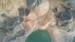 “砂荒”！出高价也买不到淡化海砂系列！