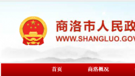 村民反映水泥路和泥巴一样，政府回复了！