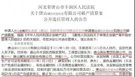 冀东水泥旗下公司破产清算！选聘专业机构