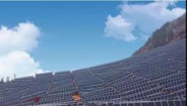 变天了！中联、海螺、塔牌等水泥企业发力了！