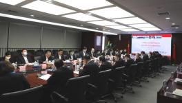 牛！这家水泥厂销售额增长242倍！