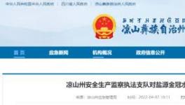 应急管理局通报：盐源金冠水泥被查出多处问题！