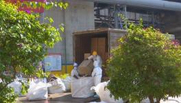 正在进行时！红狮水泥助力疫情防控，日处理15~20吨医疗废弃物！