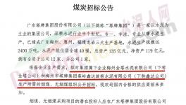 塔牌集团煤炭采购通知！