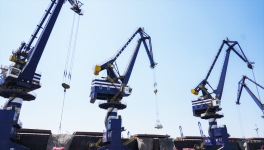 单船6.2万吨，越南水泥又来了！落地山东！