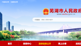 芜湖海螺5.3MW光伏发电项目成功获批！