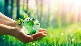 水泥行业如何“破局”？这场直播给你答案！