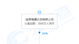 加速收购！海螺水泥在下一盘大棋！