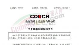 海螺水泥公告：王诚不再担任公司法定代表人！