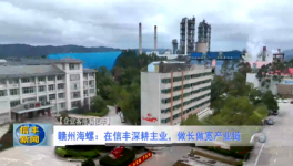 海螺子公司3条熟料生产线实现营收118亿！