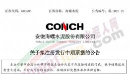 海螺水泥拟发行不超100亿票据！