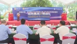 ​总投资额4775万元！华润水泥光伏项目开工​！