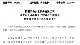 天山水泥公开发行不超过100亿元公司债券！