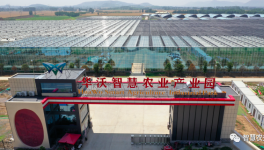 巧用水泥余热，工业转型反哺农业！