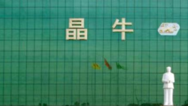 世界首创铜铝硅膨化微晶在晶牛诞生