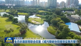 环保政策加严！氨逃逸不超标这些企业做到了！