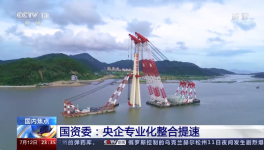 央视新闻报道：中国建材专业化整合成效经验交流！