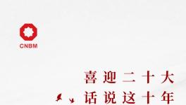 喜迎二十大:话说这十年，专业化整合深入推进 产业布局不断优化