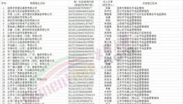 第二批假冒中央企业名单公布